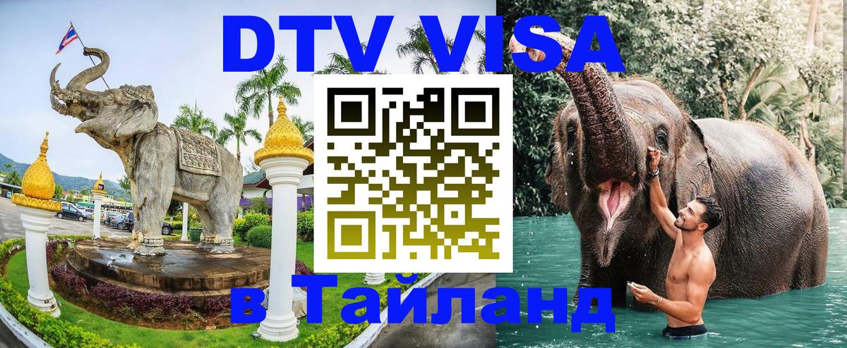 Оформление DTV визы под ключ: стоимость и тарифы, только загранпаспорт - 05.10.2025 